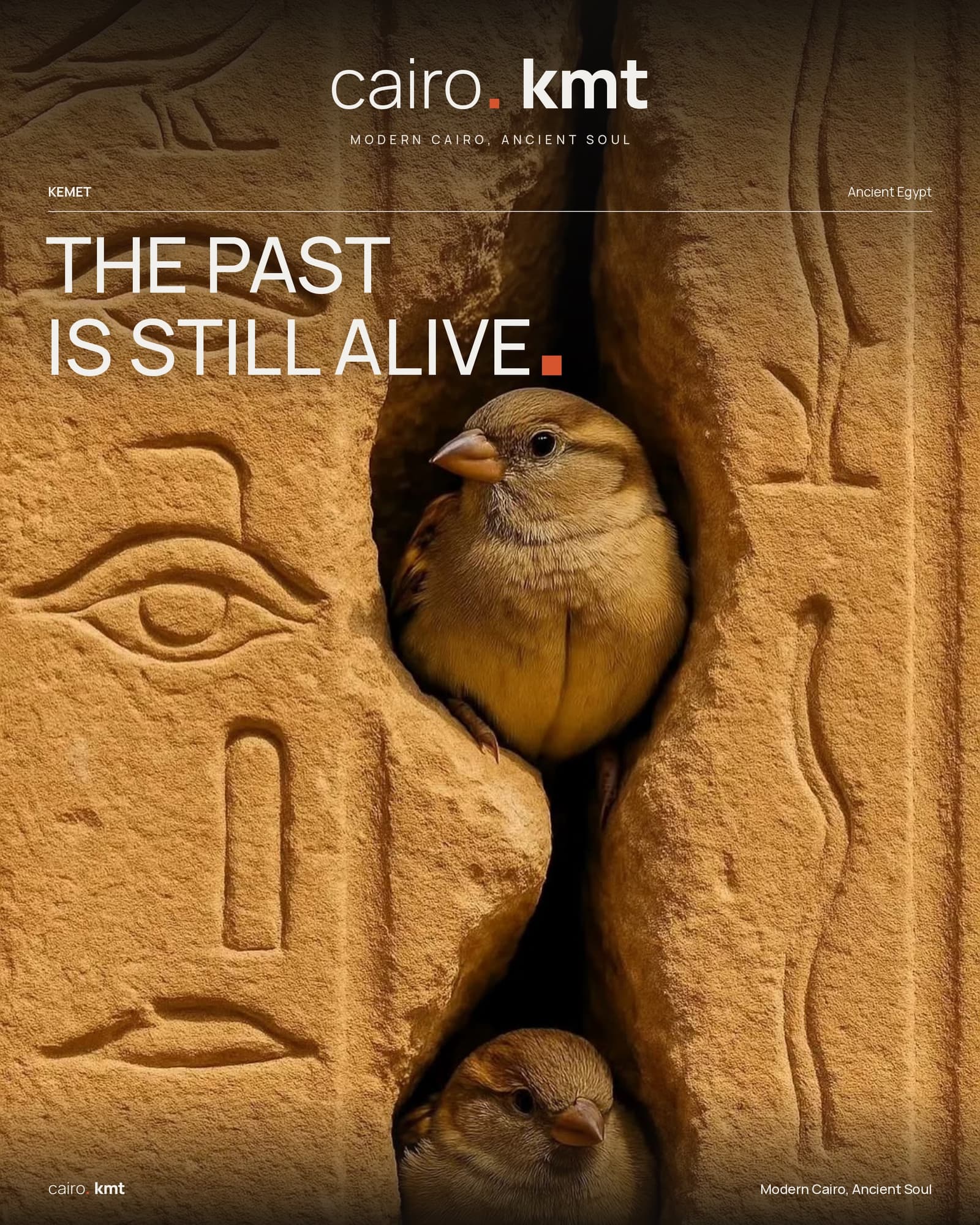 Sparrows nesting in a gap in a stone wall carved with hieroglyphs