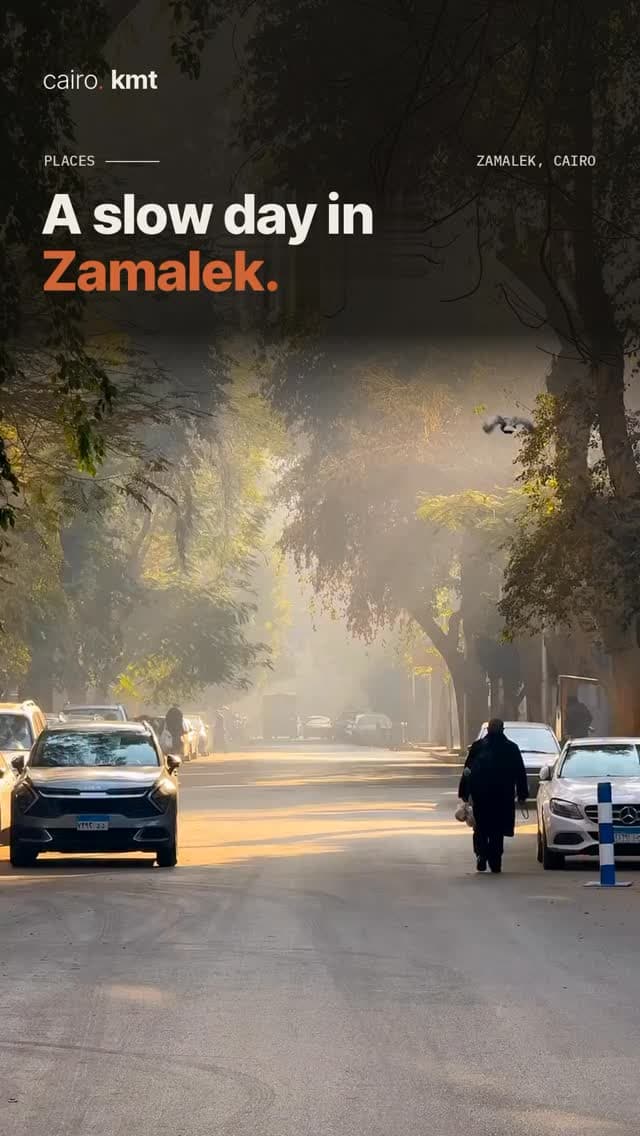 A quiet tree-lined street in Zamalek