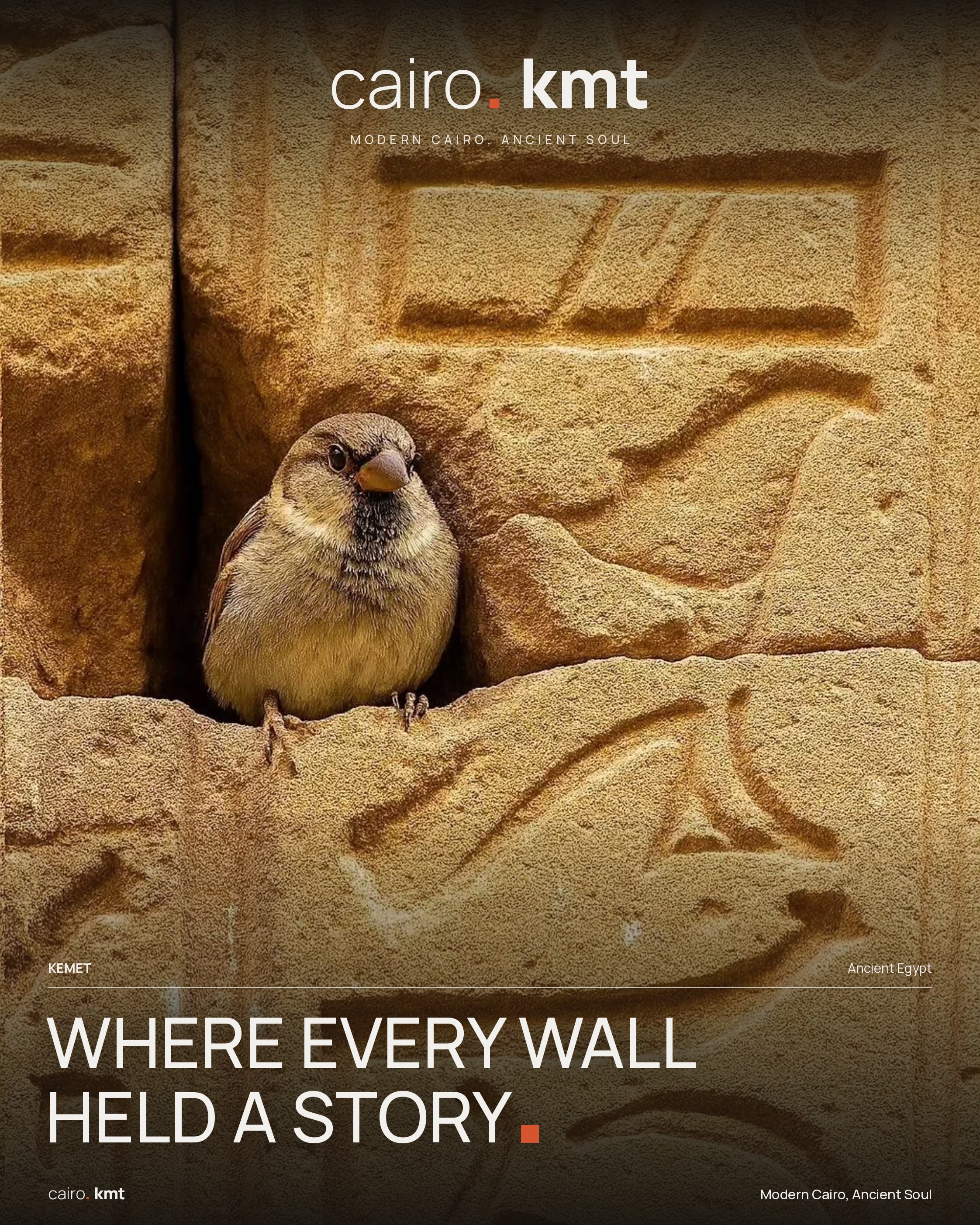 Sparrows nesting in a gap in a stone wall carved with hieroglyphs