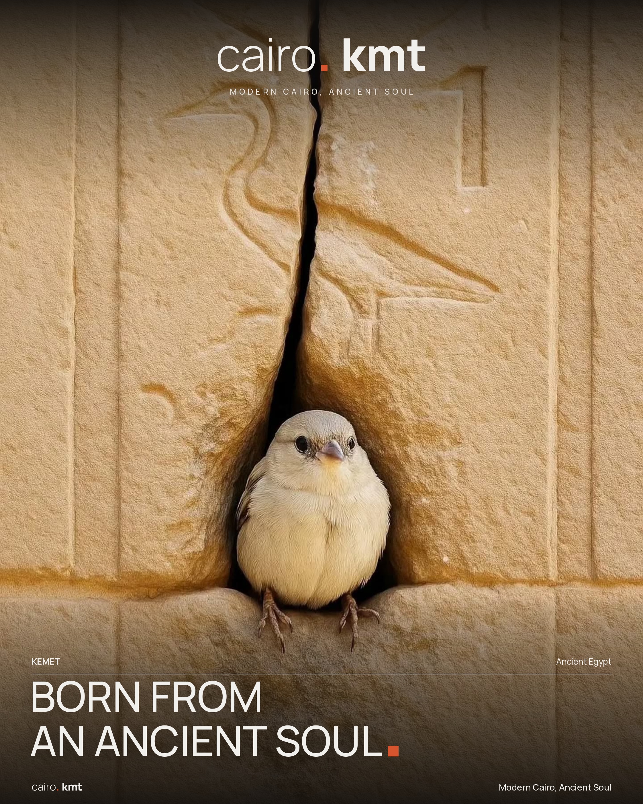 Sparrows nesting in a gap in a stone wall carved with hieroglyphs