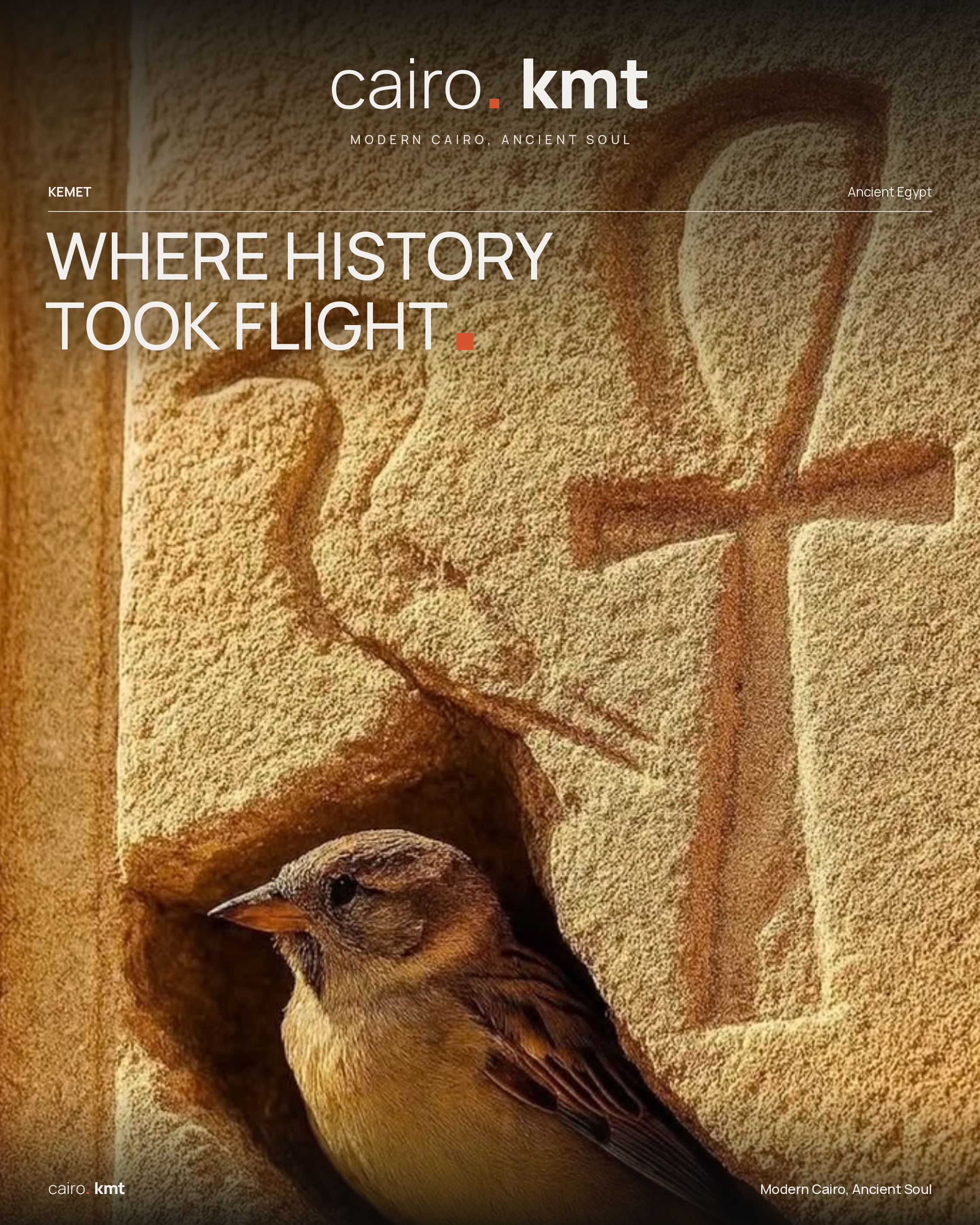 Sparrows nesting in a gap in a stone wall carved with hieroglyphs