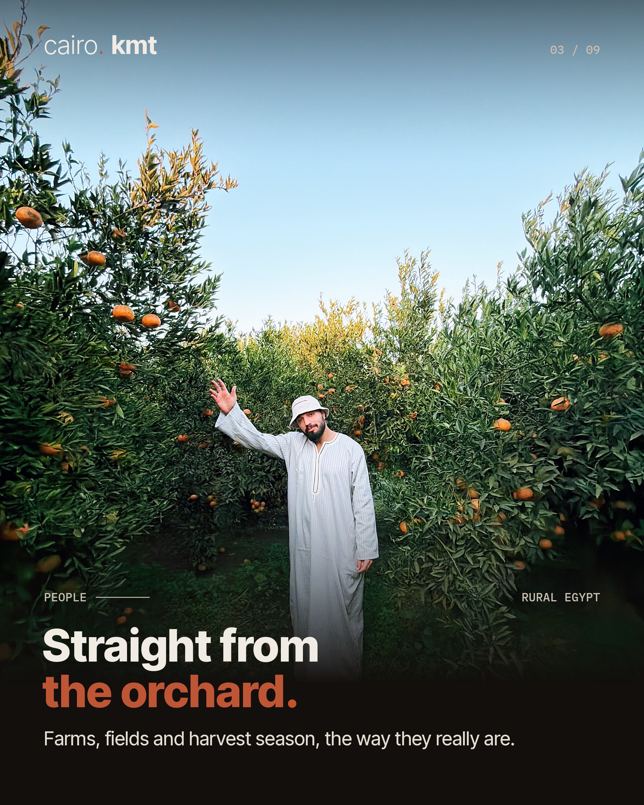 Mohamed Nasr among the trees of an orchard