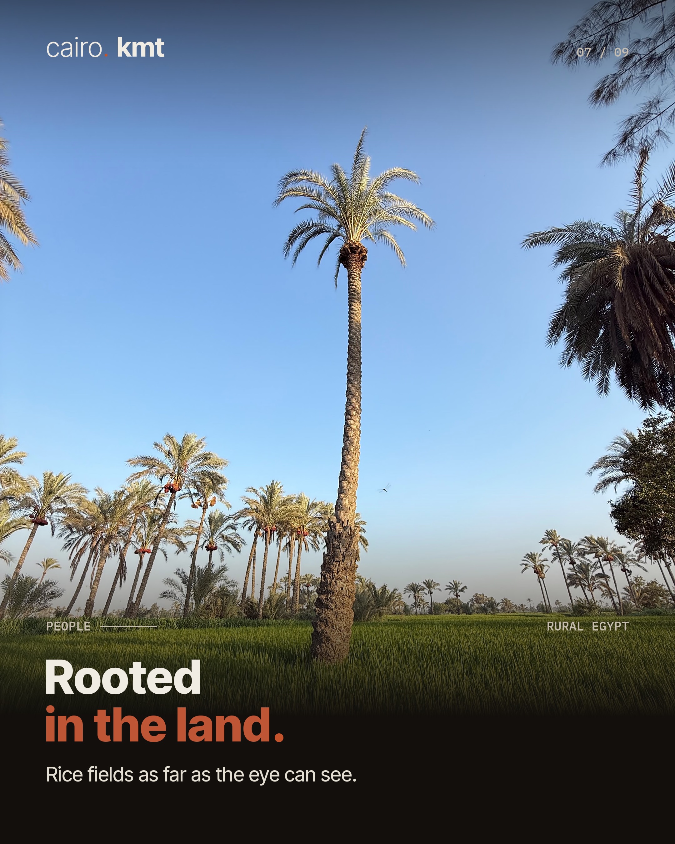 Mohamed Nasr among the trees of an orchard
