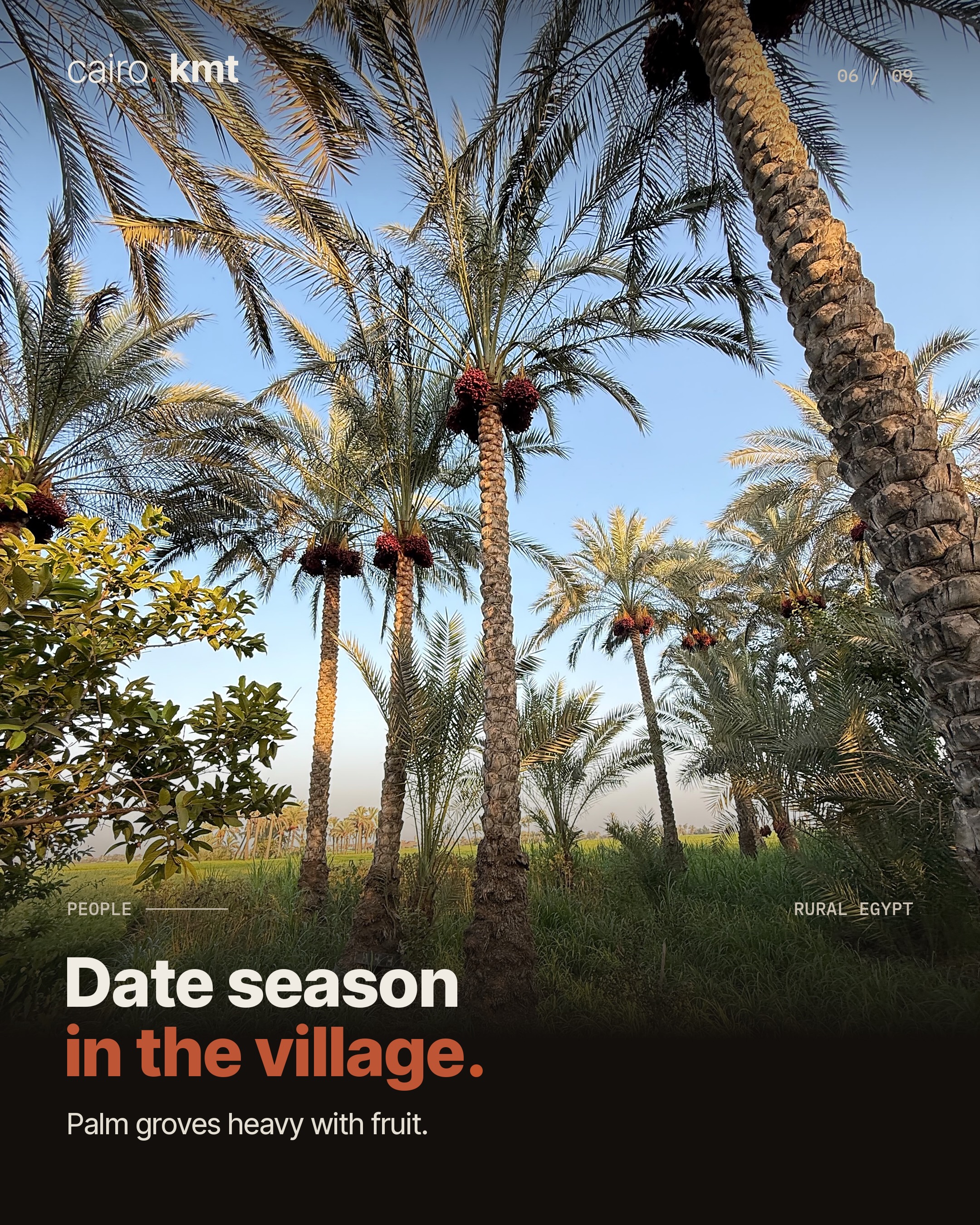 Mohamed Nasr among the trees of an orchard