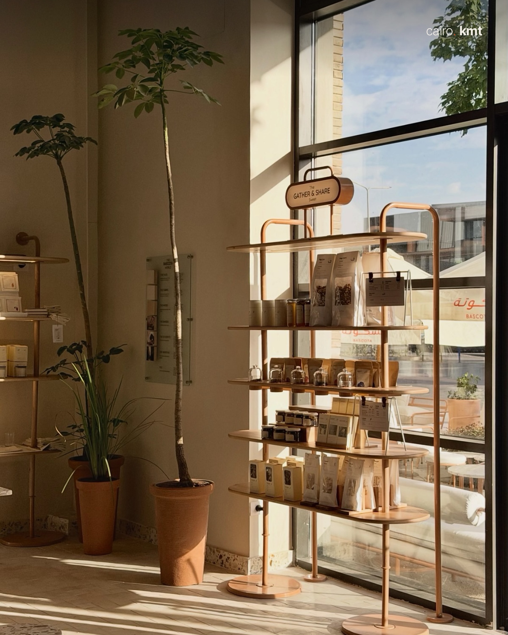 Inside Bascota, a bright bakery café with tall windows and palms