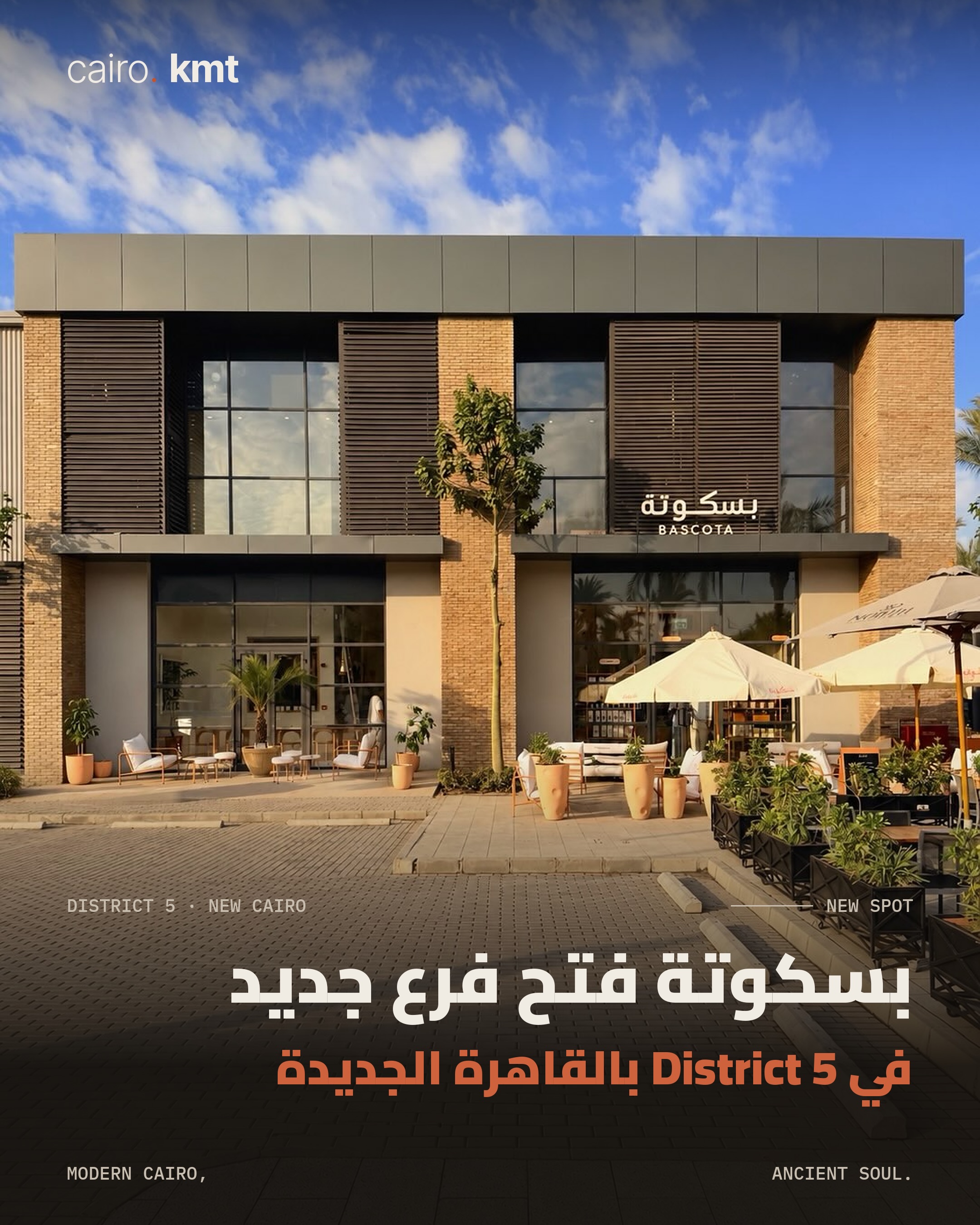 Inside Bascota, a bright bakery café with tall windows and palms